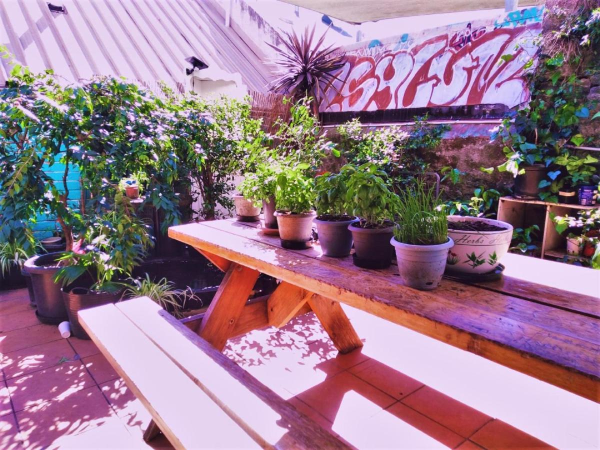 Hotel Zen Harmony House Sydney Esterno foto